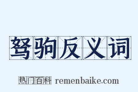 驽驹反义词是什么意思的图片